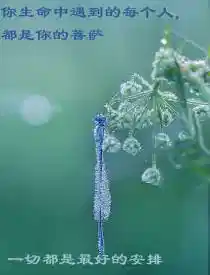 今生只为君凝眸